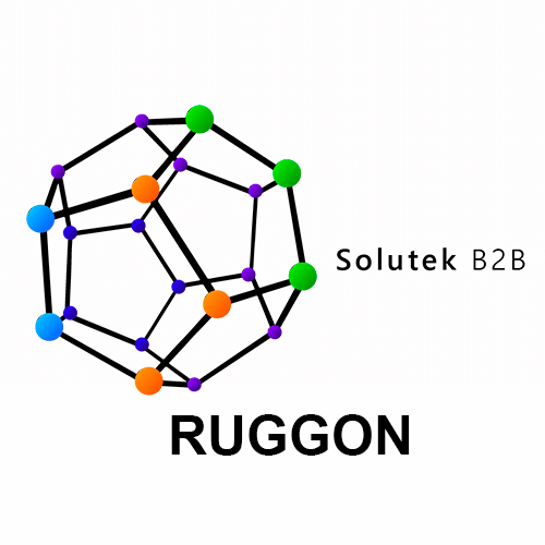 mantenimiento preventivo de monitores Ruggon